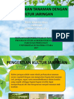 Kultur Jaringan