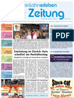RheinLahn-Erleben / KW 33 / 20.08.2010 / Die Zeitung als E-Paper