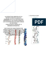 FCQ 4 BQ EXP Proteina - Colageno