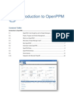 Introduction To OpenPPM PDF