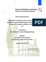 Diagnóstico Mediante Pruebas Tradicionales y Bioquímicas para Identificación de Pseudomonas Syringae Pv. Syringae en Hibiscus Chinensis