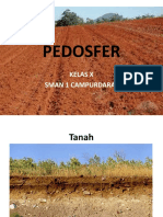 Pedosfer