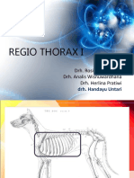 Regio Thorax I2012