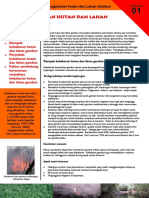 Fire01 PDF