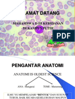 Anatomi Pengantar BDM Marni