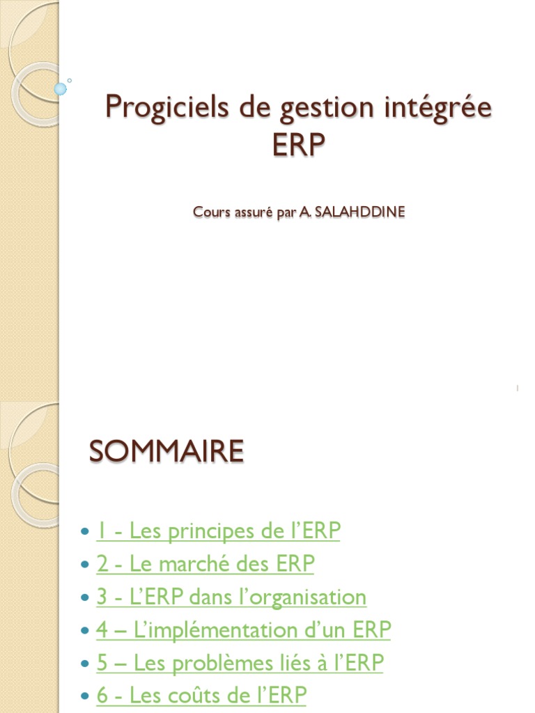 Comprendre les ERP en 2013 | PDF | Progiciel de gestion intégré ...
