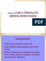 Anfis Sistem Integumen