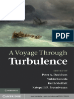 A Voyage Through Turbulence PDF