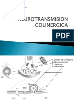 Neurotransmision Colinergica