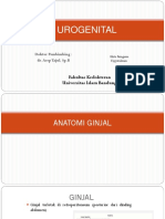 TL - Trauma Urogenital Fix