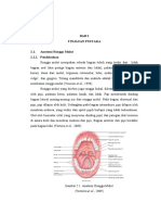 Anatomi Rongga Mulut PDF