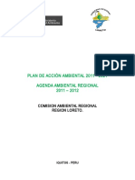 Plan de Accion Ambiental Loreto