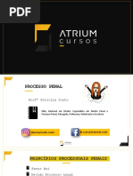 slides-aula-2-atrium-processo-penal-priscila-souto.pdf