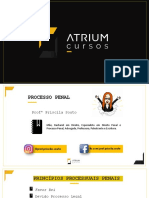 Slides Aula 2 Atrium Processo Penal Priscila Souto PDF