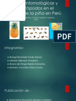 Plagas Entomológicas y Otros Artrópodos en El Cultivo