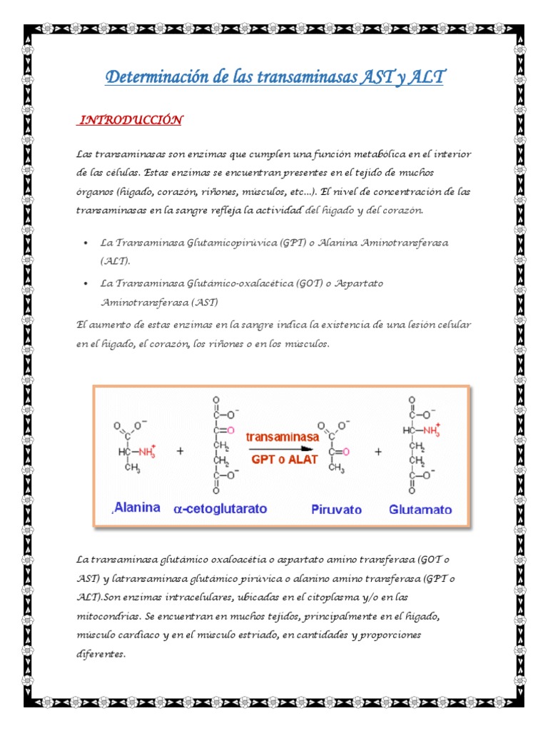 Determinacion de Las Transaminasas AST y ALT | PDF | Transaminasa | Hígado