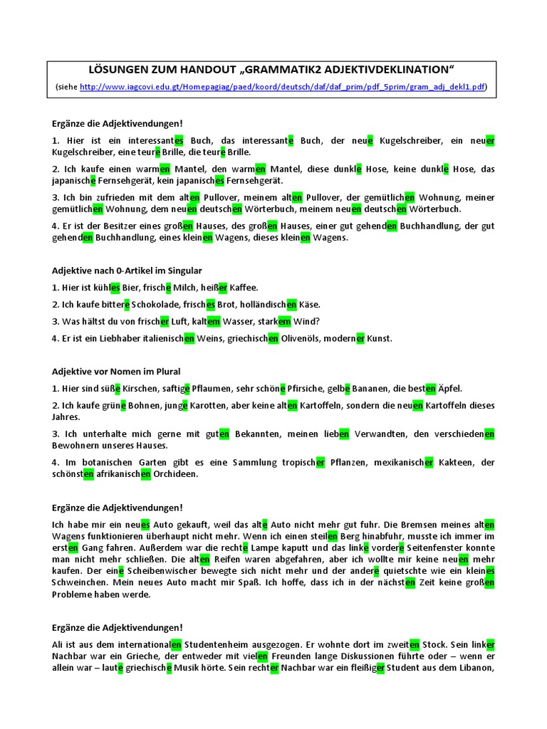 Grammatik2 Adjektivdeklination Loesungen