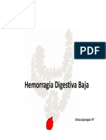 Hemorragia Digestiva Baja