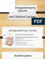 The Integumentary System and Skeletal System