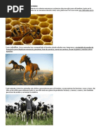 10 Animales Aéreos y sus Características | PDF | Lepidópteros | Aves