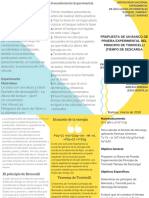 Triptico.pdf