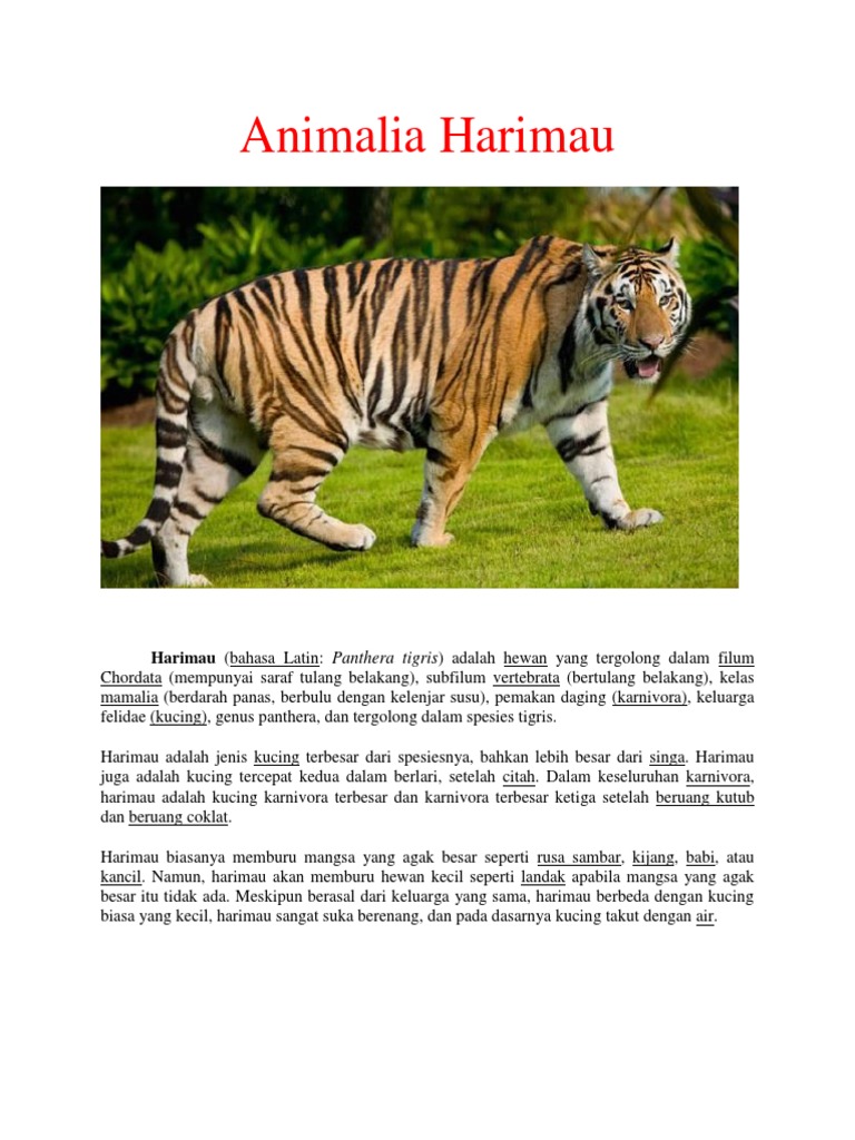 Animalia Harimau Pdf