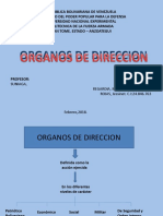 Organos de Direccion