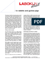 Rabbit and Guinea Pig Leukocyte Guide | PDF | White Blood Cell ...