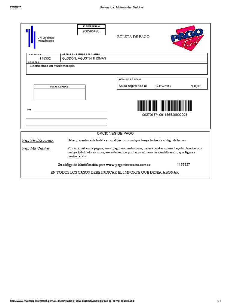 Opciones de Pago para Alumnos | PDF