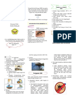 Leaflet DBD