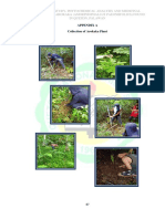Botanical Study, Phytochemical Analysis and Medicinal Properties of Arokaka (Amorphophallus Paeoniifolius) Found in Quezon, Palawan