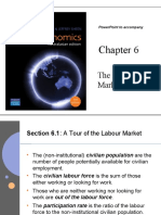 The Labour Market: Powerpoint To Accompany