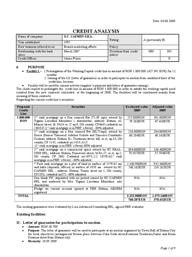 CAFMIN Credit Analysis Report 2009 | PDF | Revenue | Inventory
