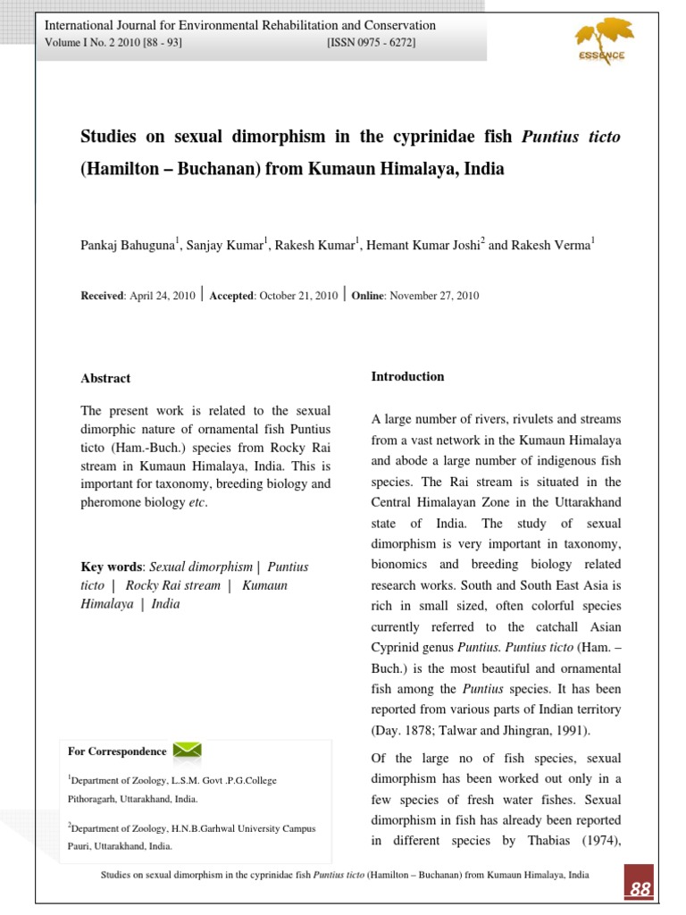 Sexual Dimorphism in Puntius ticto | PDF | Anatomical Terms Of Location ...