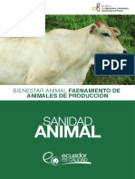 Manual Bienestar Animal en El Faenamiento