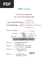 Science Tema 4 Resumen