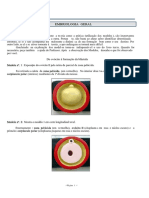 Embriologia Geral: Do Ovócito à Formação do Disco Tridérmico