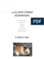 Download Jenis-jenis Ternak Kesayangan by elis sl SN373112988 doc pdf
