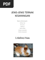 Download Jenis-jenis Ternak Kesayangan by elis sl SN373112988 doc pdf