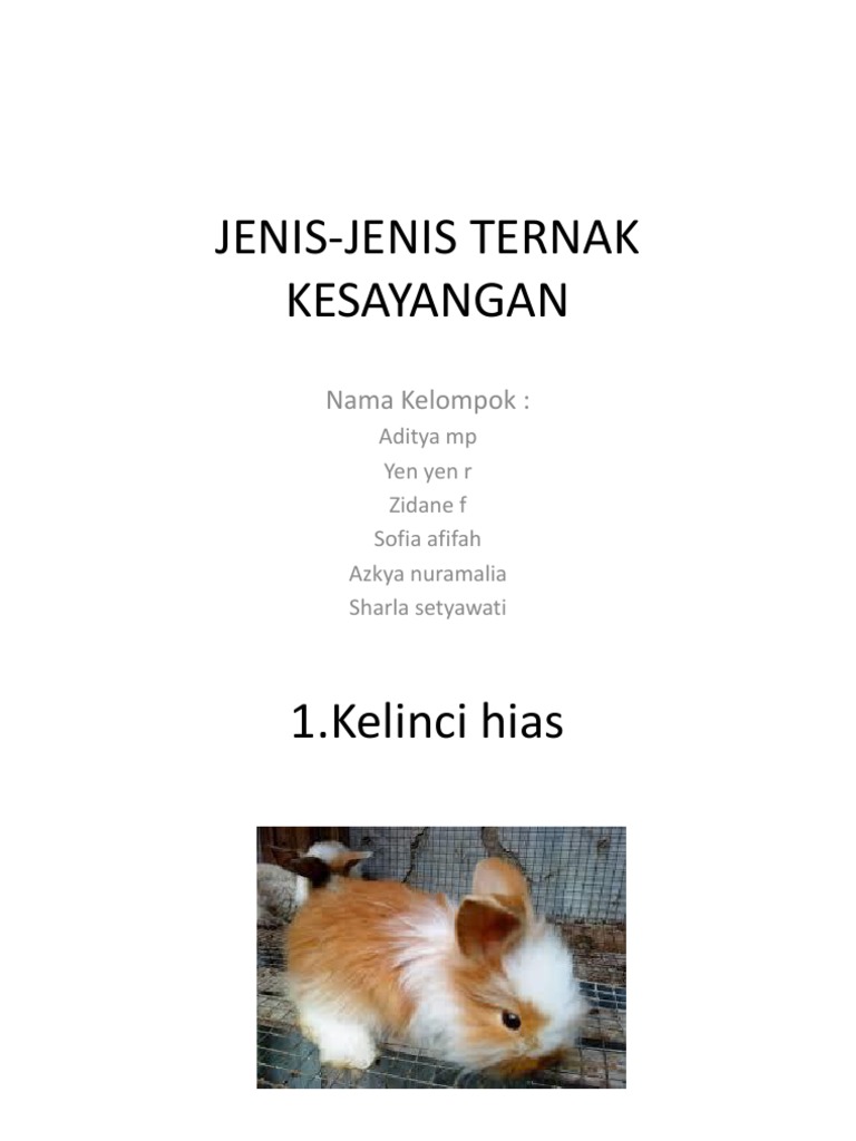 Jenis Jenis Ternak Kesayangan