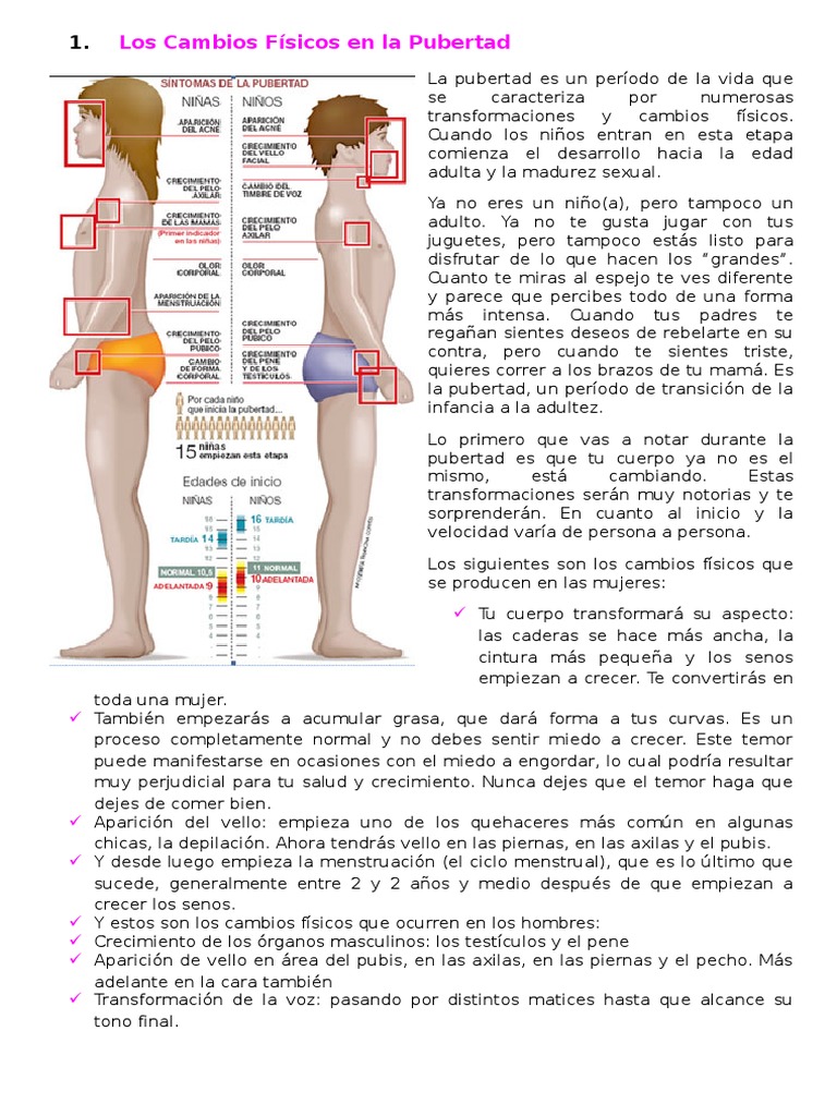 Cambios Físicos en la Pubertad | PDF | Pubertad | Adolescencia