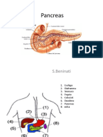 Pancreas e Fegato1