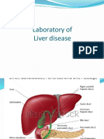 Kuliah Lab Liver 2017