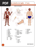 Ficha de Trabalho de Inglês - 4º Ano - Parts of The Body