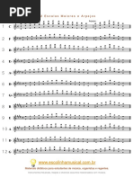 01 - CORDAS - Violino e Viola.pdf