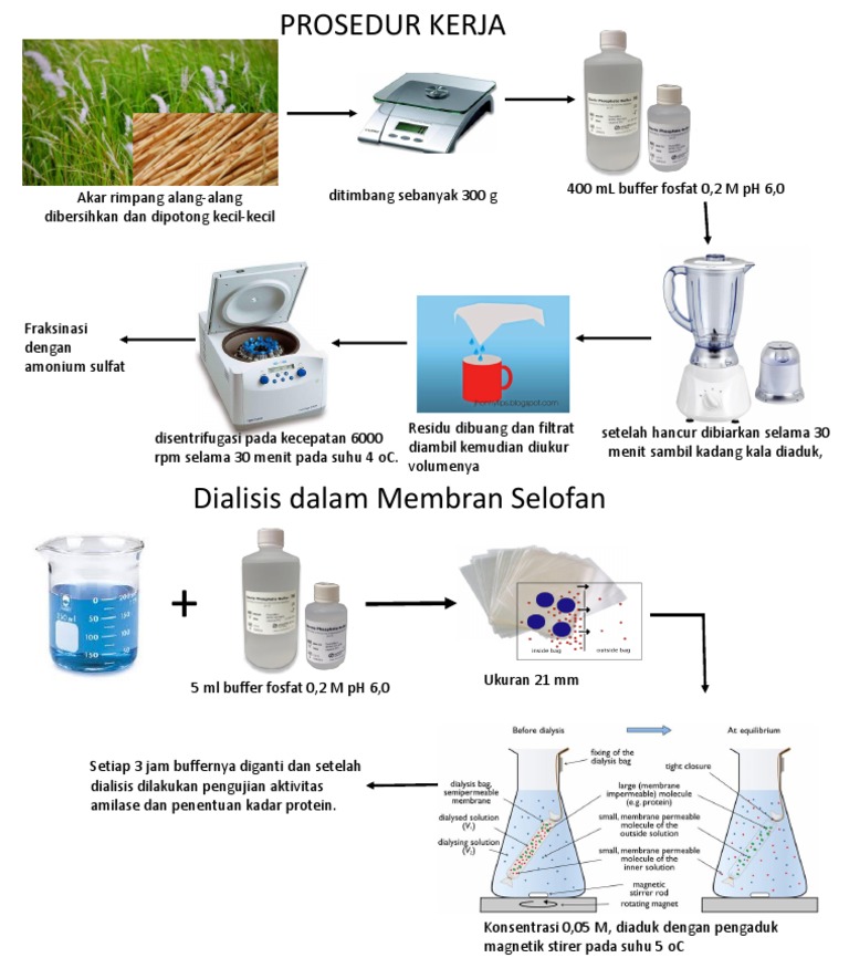 Dialisis Protein | PDF