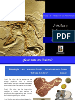 Clase5_Fosiles_y_tafonomia.pdf