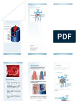 Folleto - Desarrollo Sistema Venoso