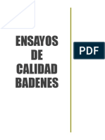 Ensayos de Calidad Badenes