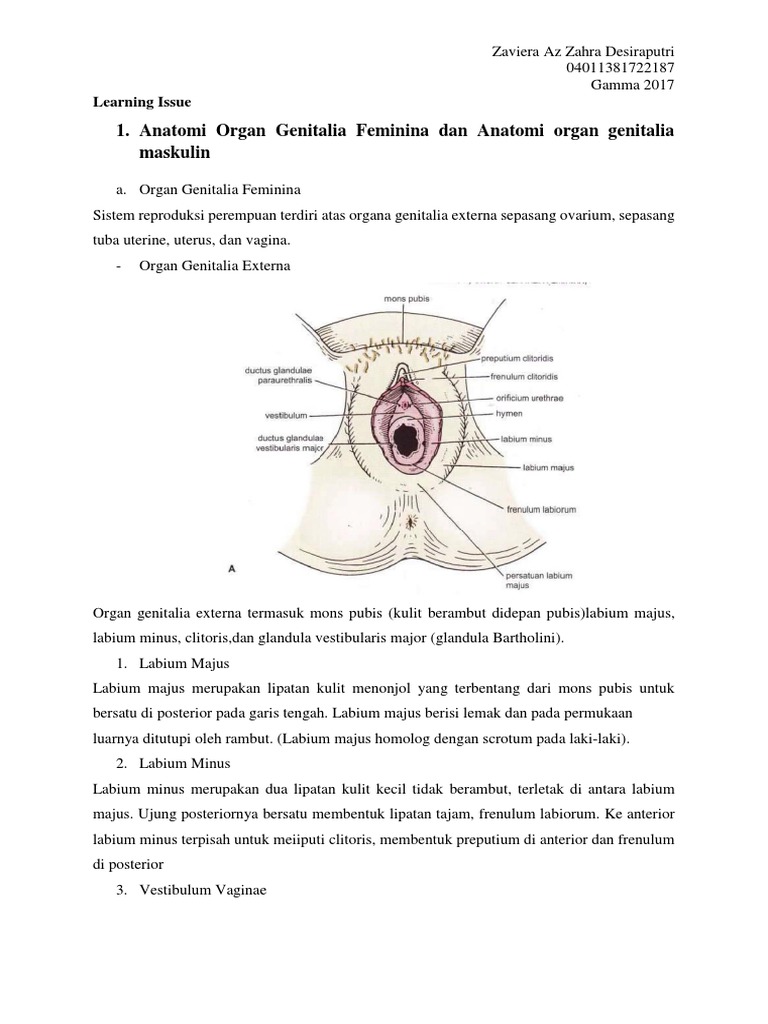 Erkaklik haqida porno video tomosha qiling